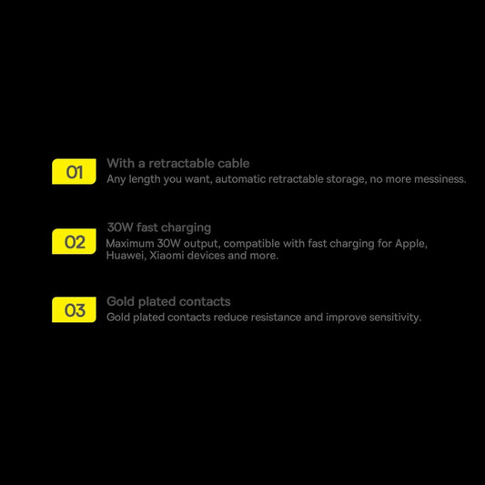 Baseus Enjoyment 2in1 Autoladegerät 30W schwarz (CGTX000001)