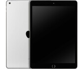 Apple iPad 256GB WiFi silber (2021)