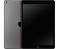 Apple iPad 256GB WiFi space grau (2021)
