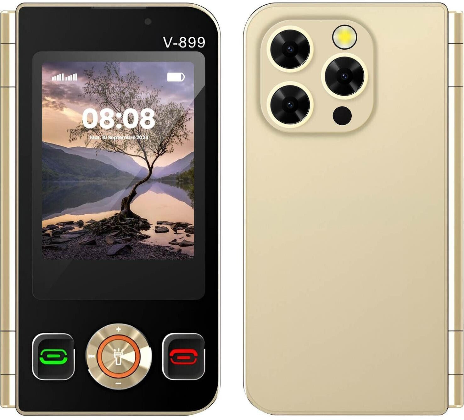 Avizar V899 Gold