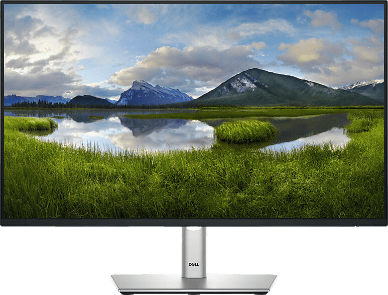 Dell P2425H