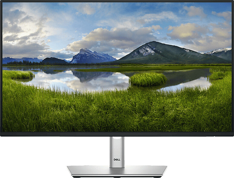 Dell P2425HE