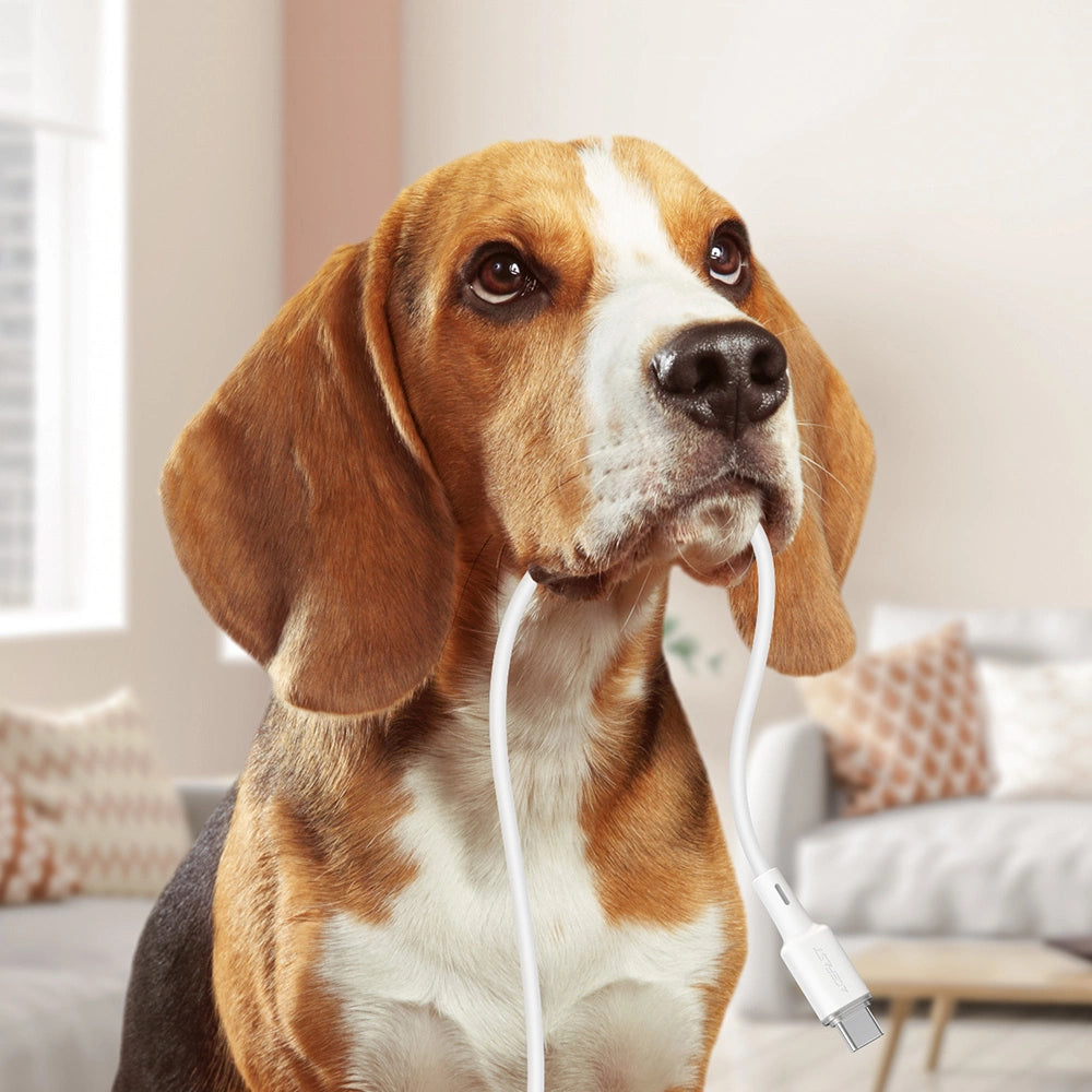 Acefast C2-03-CC USB-C – USB-C PD QC-Kabel 60 W 3 A 480 Mbit/s 1,2 m – Weiß