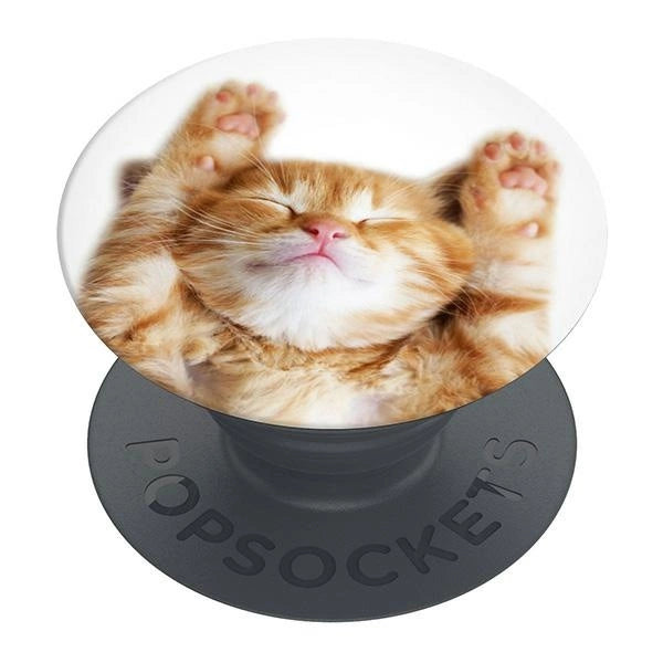 Popsockets 2 Snoozy Cat Halter und Telefonständer