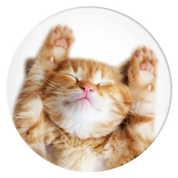 Popsockets 2 Snoozy Cat Halter und Telefonständer