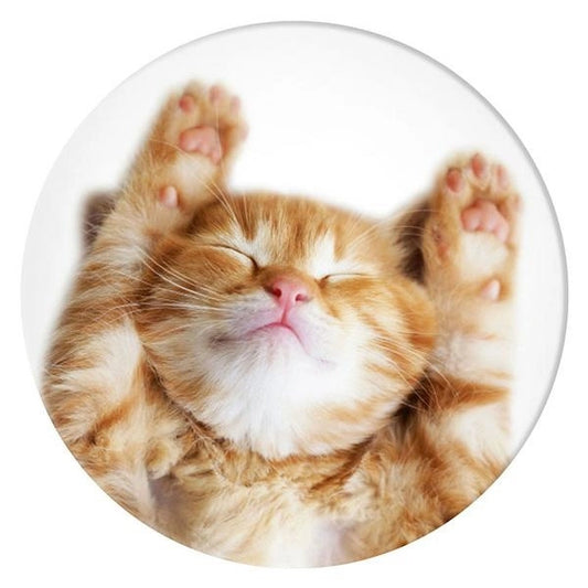 Popsockets 2 Snoozy Cat Halter und Telefonständer