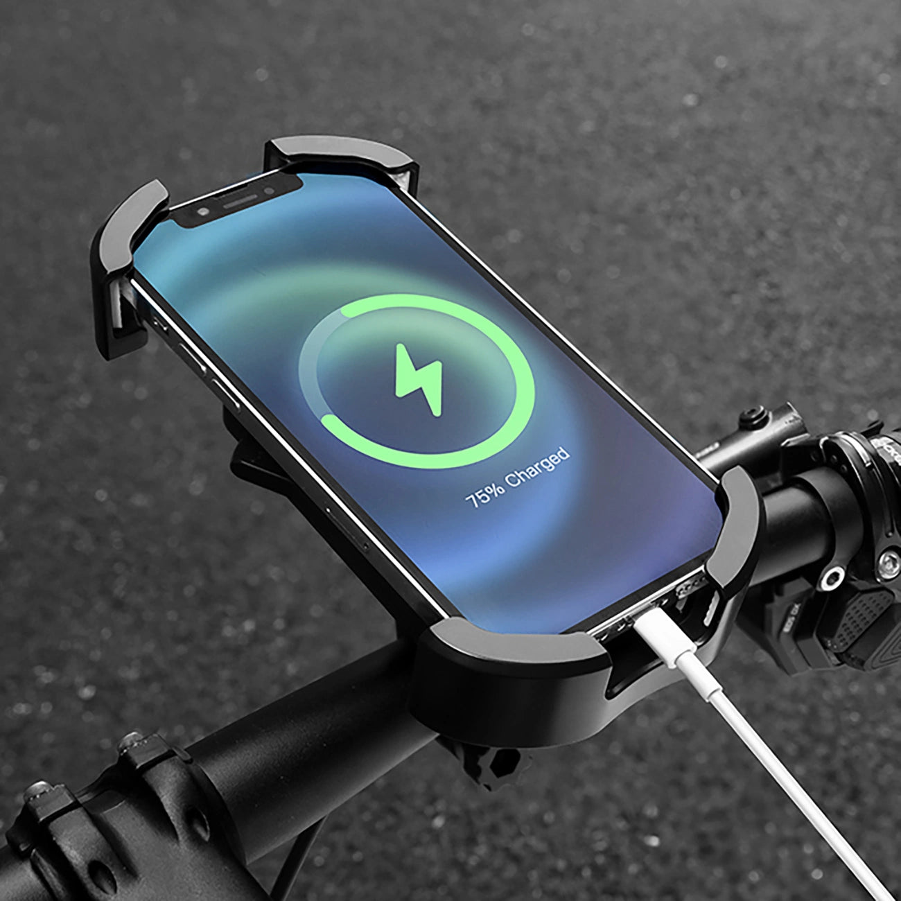 Rockbros 25210032005 Motorradspiegel-Handyhalter – Schwarz