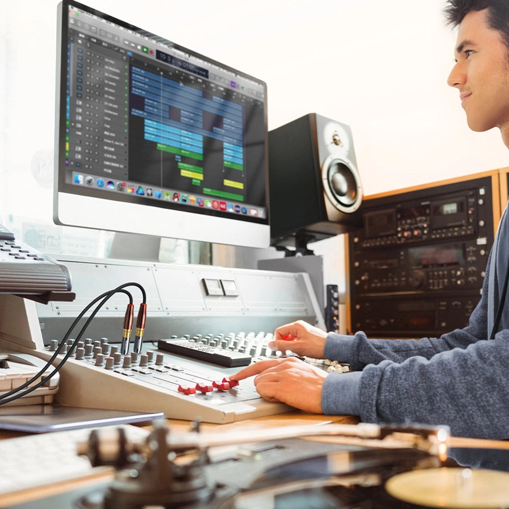 Ugreen 6,35 mm Klinkenadapter (männlich) auf Cinch (weiblich) gold (AV169 80731)