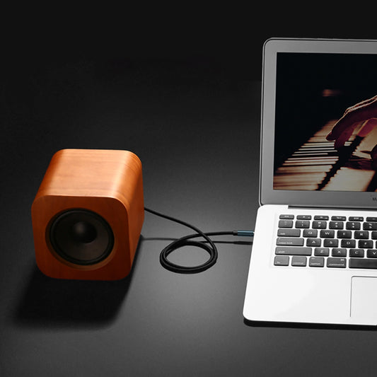 Ugreen Audiokabel 2 x Miniklinke 3,5 mm 2 m schwarz (50363 AV112)