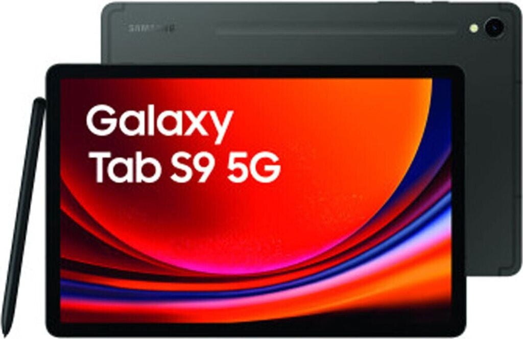 Samsung Galaxy Tab S9 256GB 5G gray