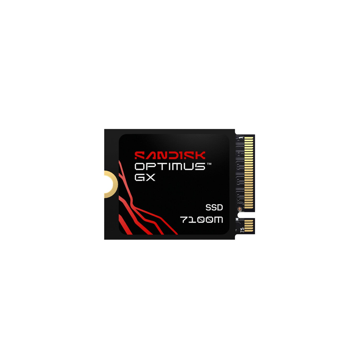 SanDisk Optimus GX 7100M 1TB