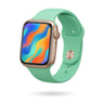 Apple Watch 1 (42mm) Reparatur